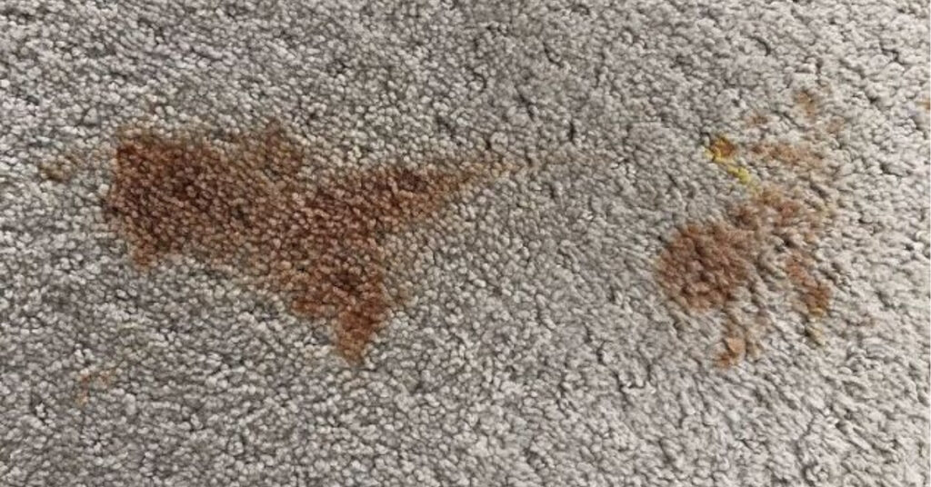 Why Oil Stains on Carpet Are So Hard to Get Out?