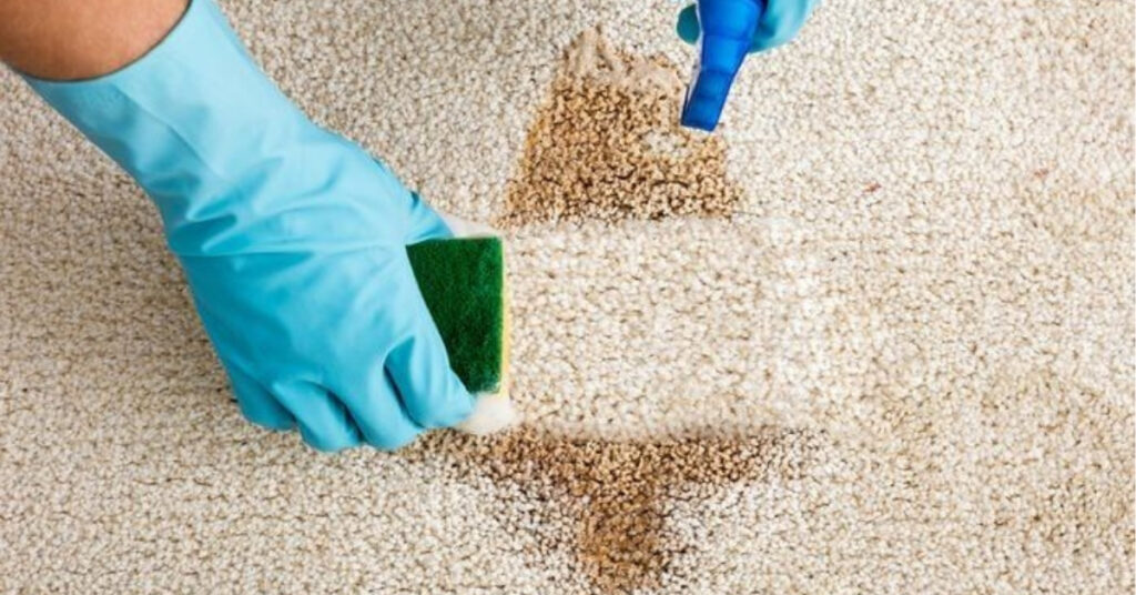 Why Is It So Hard to Remove Wood Stain from Carpet?  