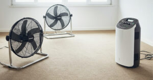 How Long to Dry After Carpet Cleaning | By Method, Fabric & Room Conditions