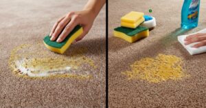 How to Get Mustard Stain Out of Carpet | Fast, Safe & Effective Methods
