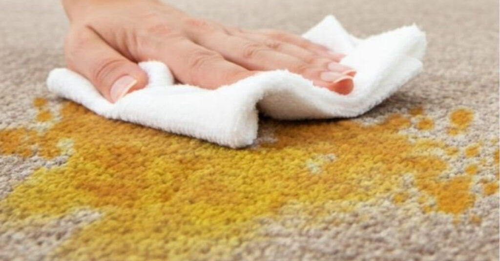 Understanding Why Turmeric Stains Are Difficult To Remove