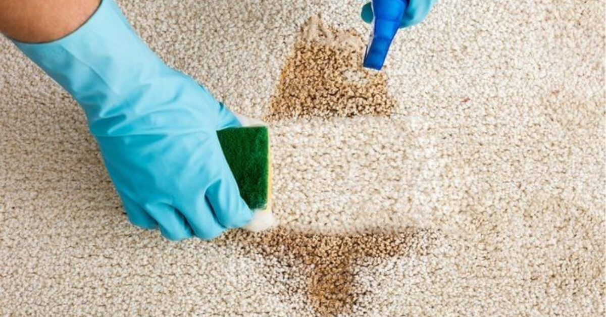 How-to-Get-a-Stain-Out-of-a-Wool-Carpet