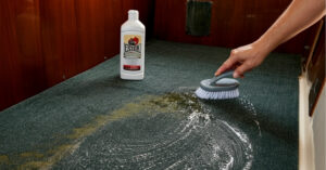 mold-carpet-cleaning