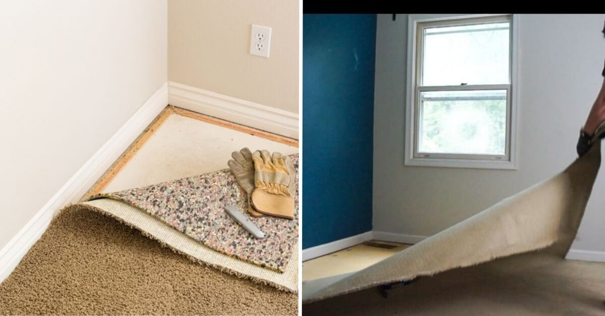 How Long Does It Take to Replace Carpet: Complete Timeline Guide