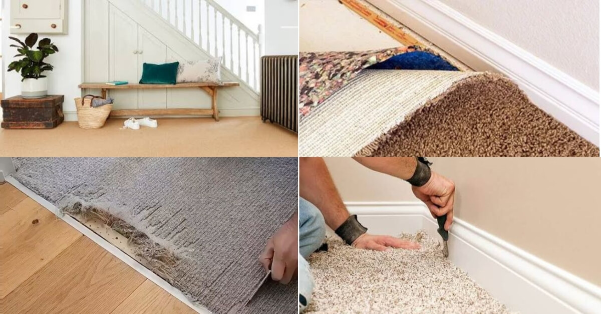 carpet should be replaced