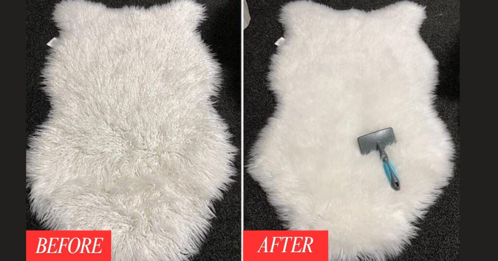 before after difference of fur carpet cleaning