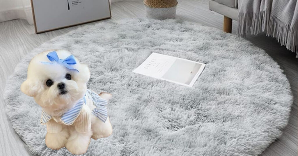 How to Keep Your Carpet Fluffy for Longer
