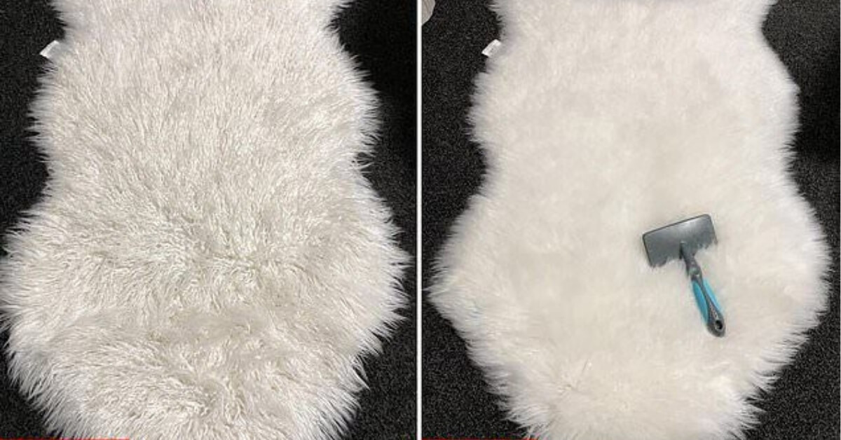 How-to-Get-Carpet-Fluffy-Again
